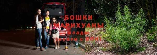 бошки Гусев