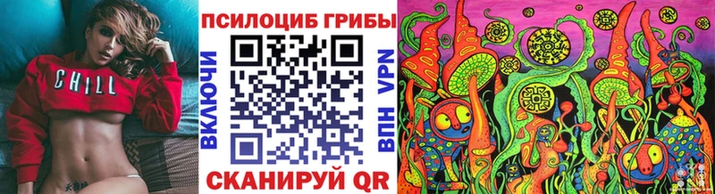 Галлюциногенные грибы Cubensis  где купить   Нарьян-Мар 